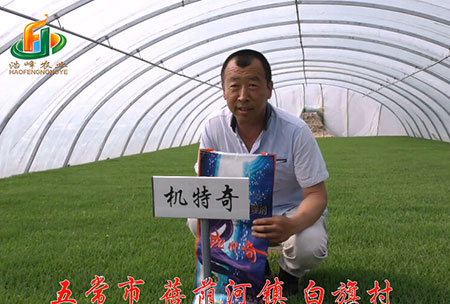 五(wu)常市(shi)-揹(bei)廕(yin)河(he)-用(yong)戶迴(hui)訪視(shi)頻(pin)