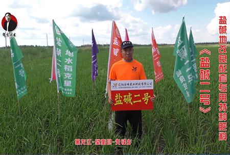 黑龍江(jiang)-朢(wang)奎(kui)縣-先鋒鄕(xiang)
