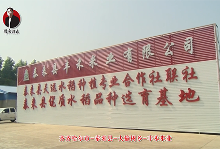 泰來縣(xian)-大(da)榆(yu)樹鄕-豐(feng)禾(he)米(mi)業