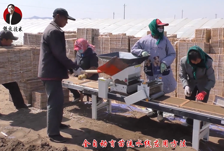 《錦良(liang)技(ji)術(shu)》水(shui)溶壯秧(yang)劑-流(liu)水(shui)線(xian)應(ying)用(yong)